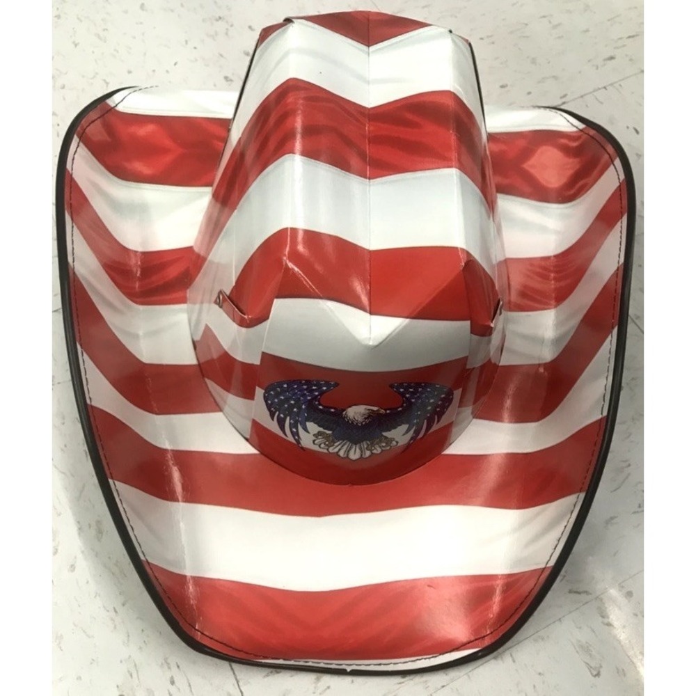 Eagle Stripe Beer Box COWBOY HAT American Flag Carton Novelty Americana New RARE - Picture 1 of 8
